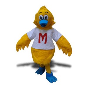 Duck Mascot Costumes - for charity