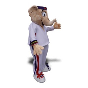 Elephant Mascot Costumes