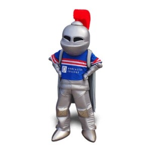 Knight Mascot Costume