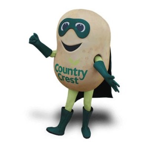 Potato Mascot Costume