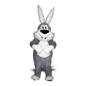 Rabbit Mascot Costumes