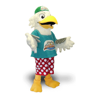 Seagull Mascot Costumes